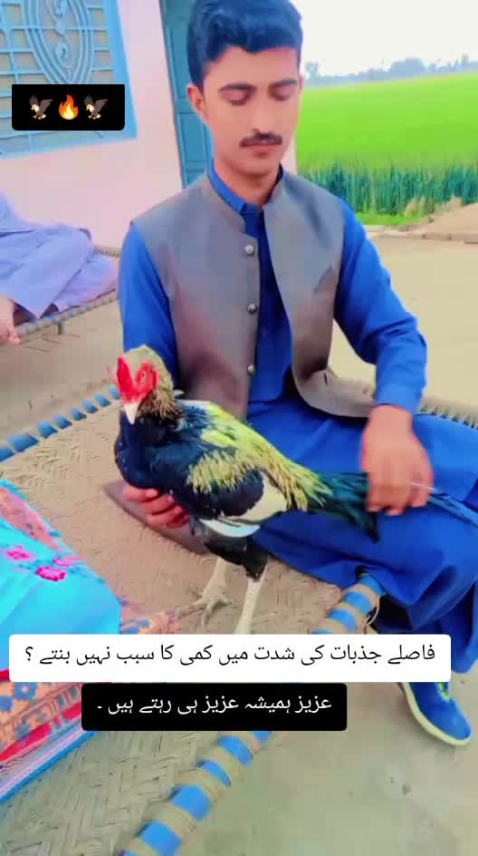 @kashifaseel2