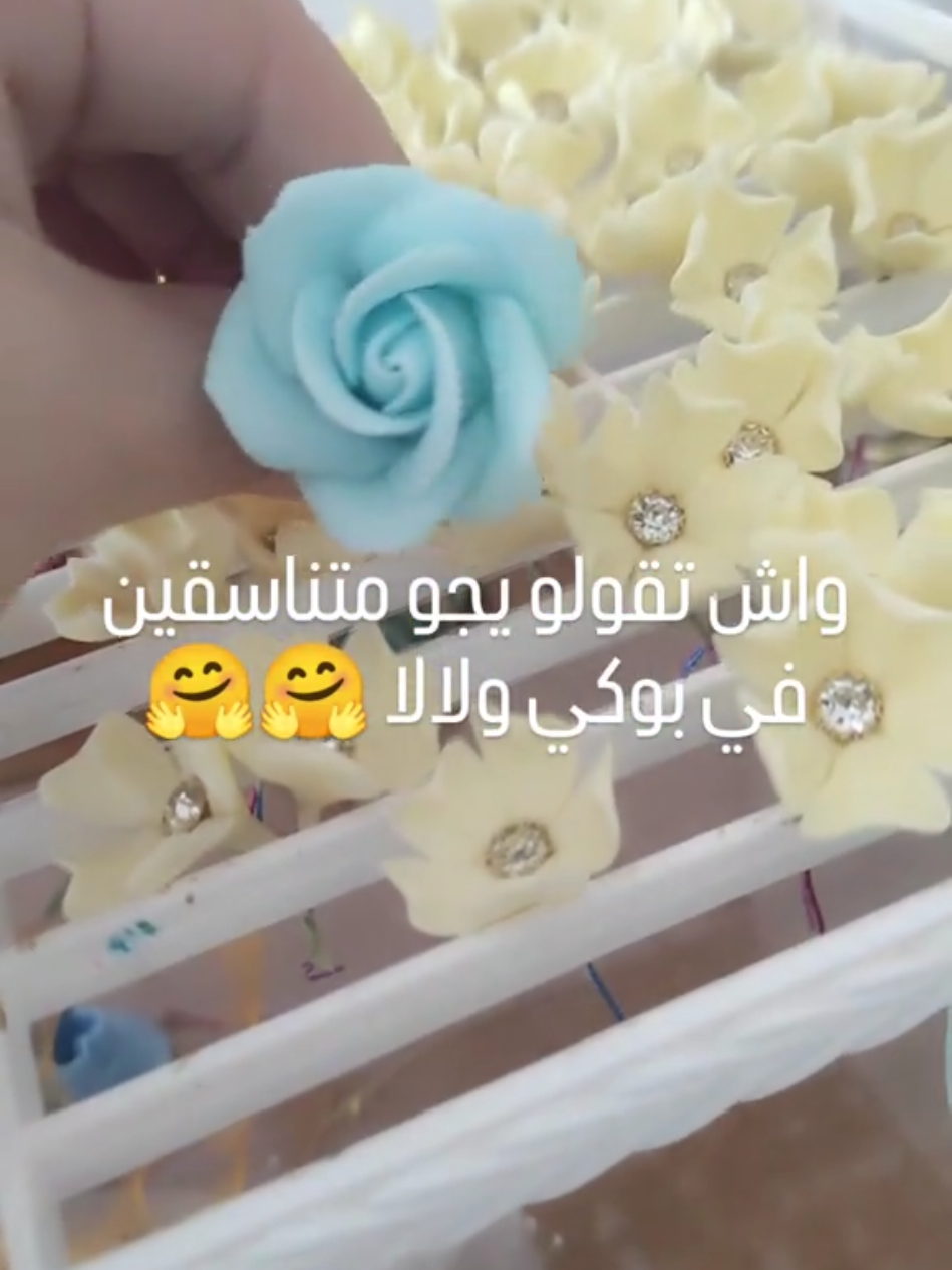 @hanocook