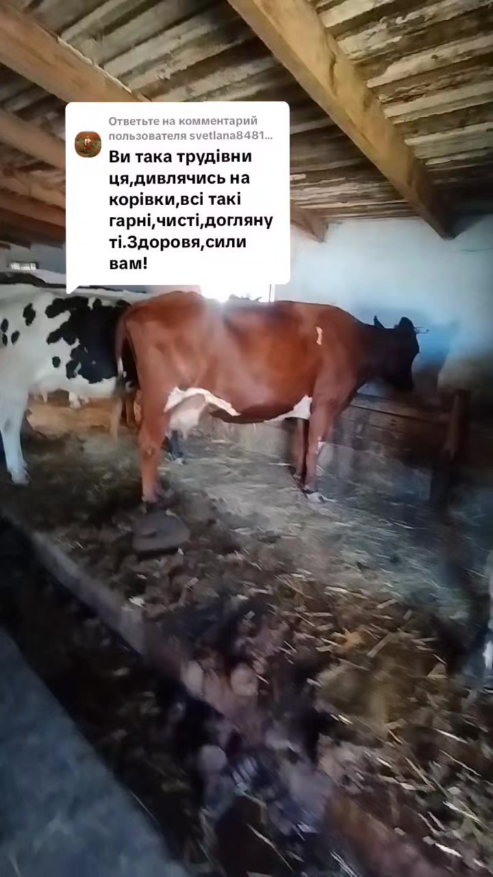 @Марченко Наталья