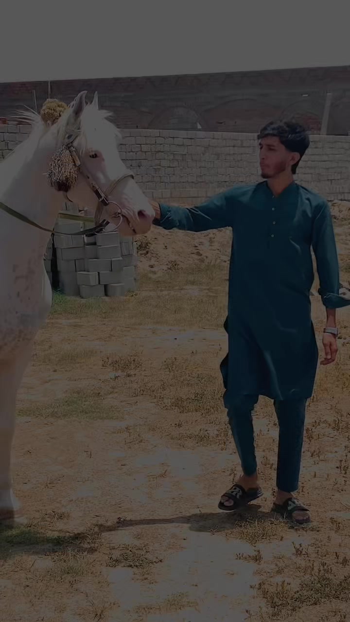 @♕ وینس ♕