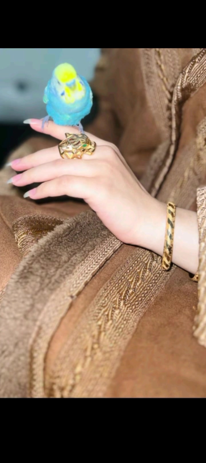 @🍯🦋عــســولـهـ🦋🍯