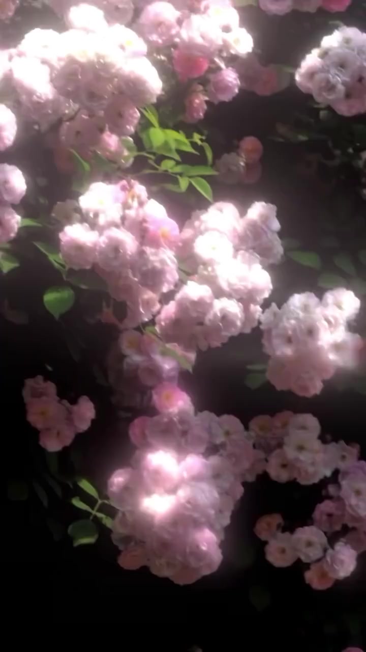 @𝒍𝒊𝒗𝒊𝒏𝒈𝒉𝒂𝒓𝒅