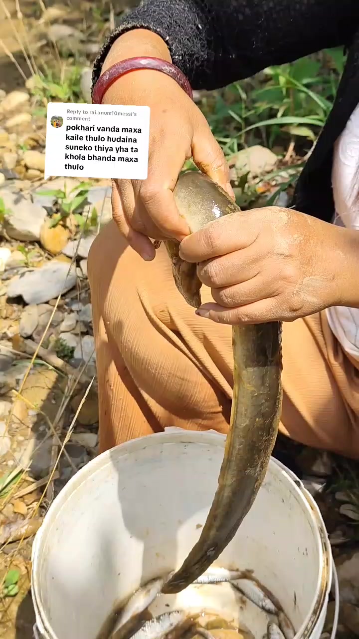 @Ambika16