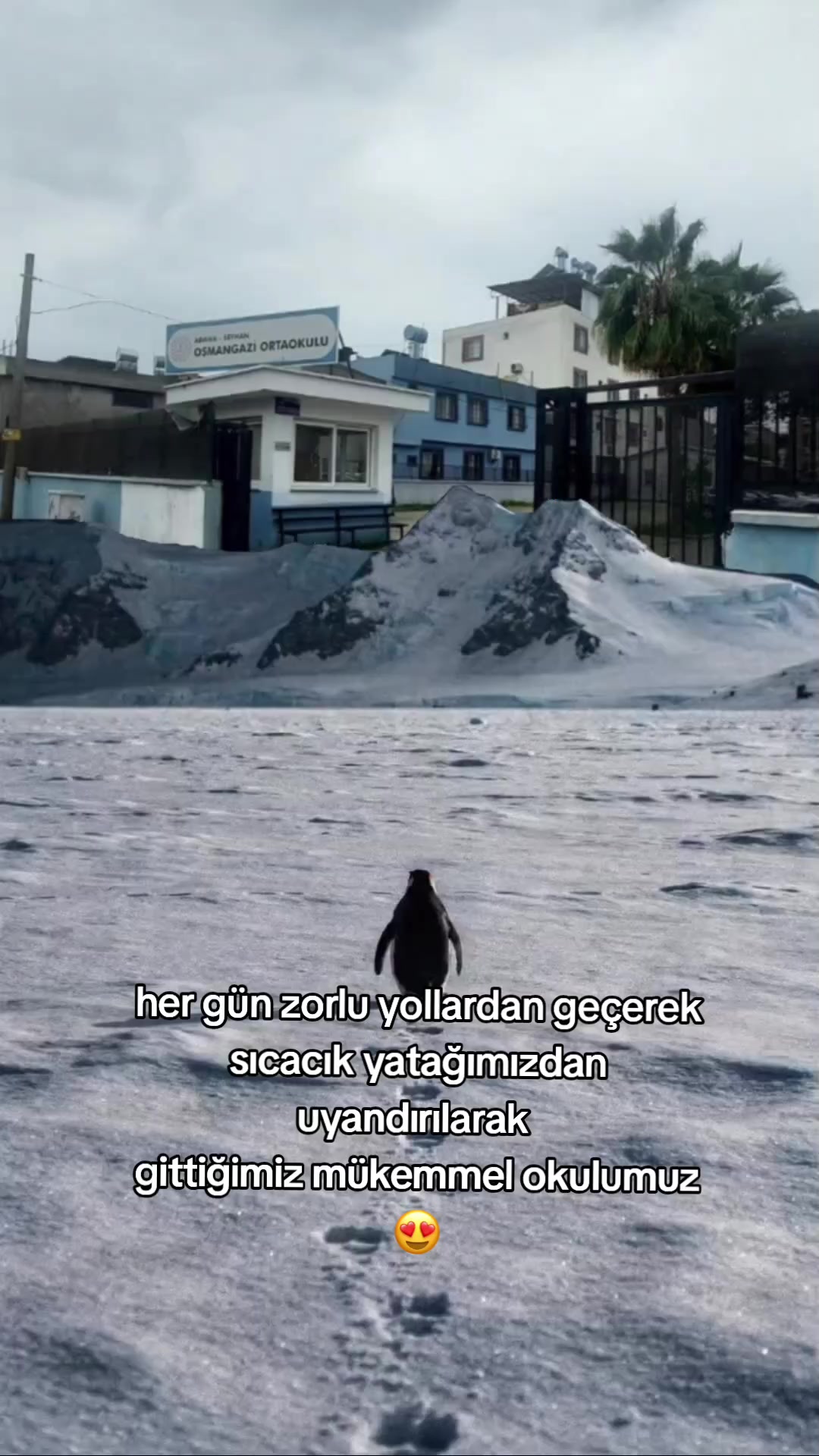 @🌹Osmangazi ortaokulu🌹