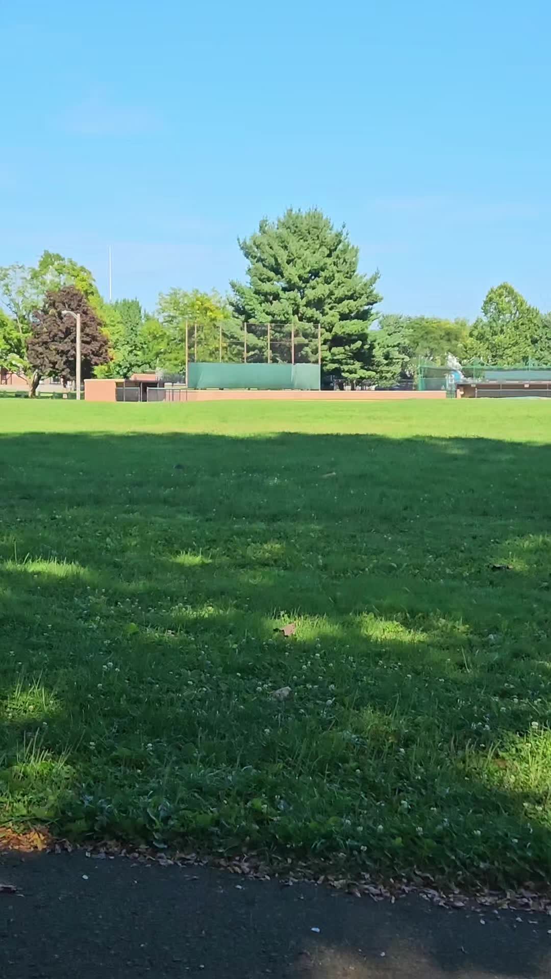 @cschultz2