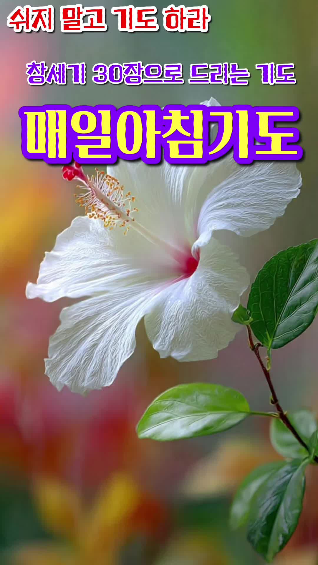 @피켓전도 김종일 목사