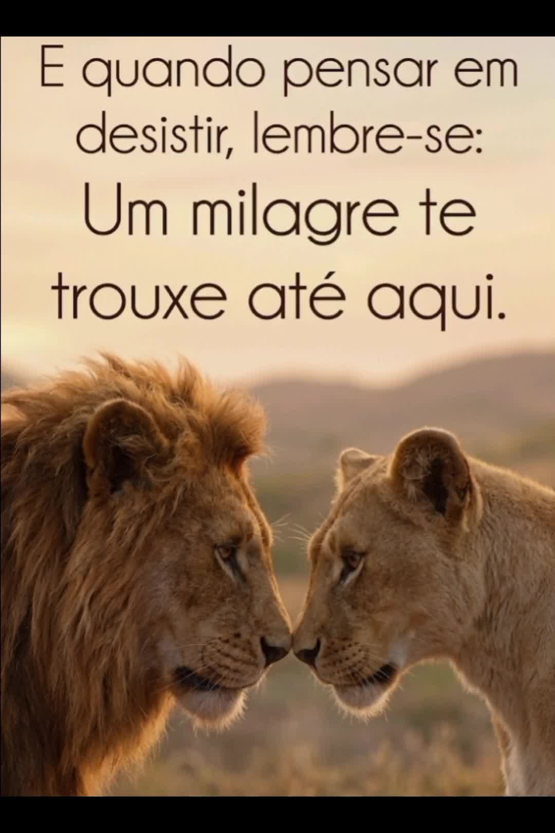 @MENTE POSITIVE