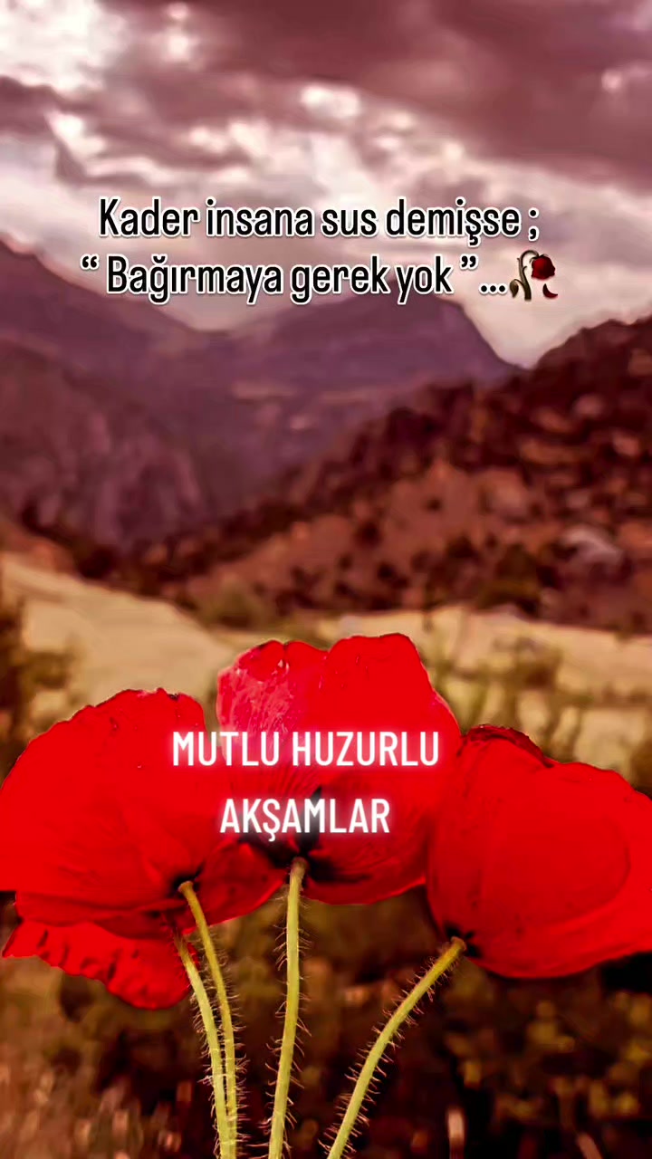 @Hasan Yılmaz