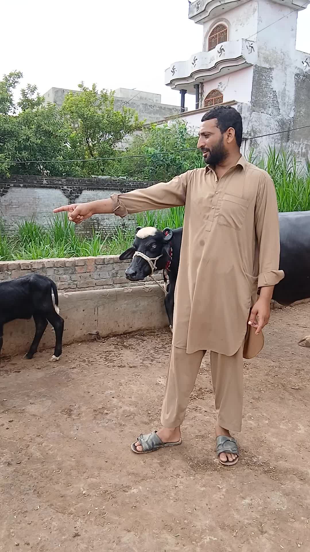 @Farming and Business Ideas