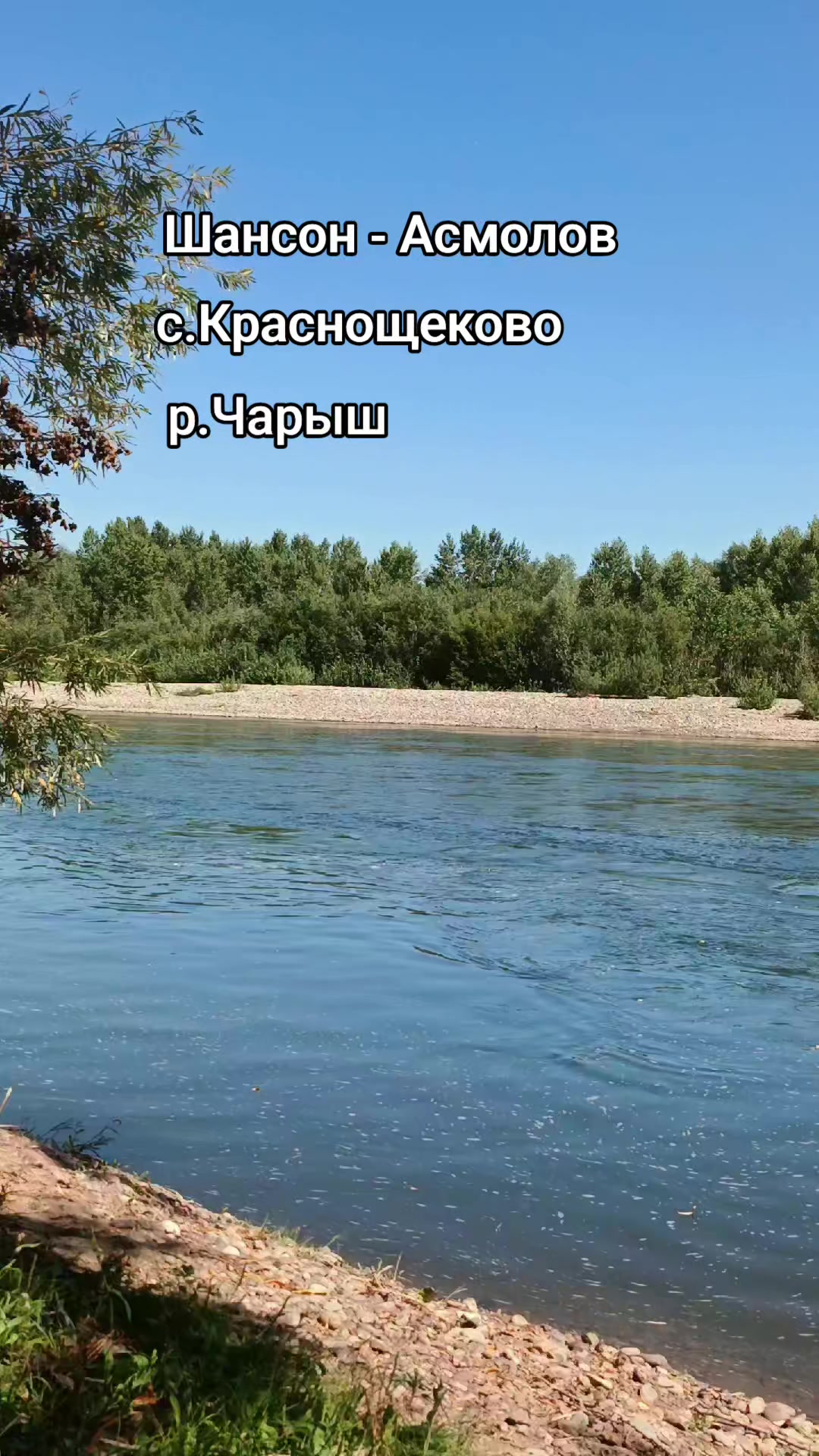 @Виктор Николаевич