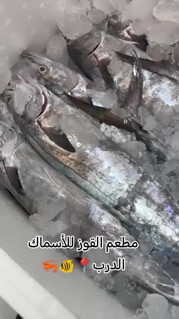 @مطعم القوز للأسماك.الدرب🧿