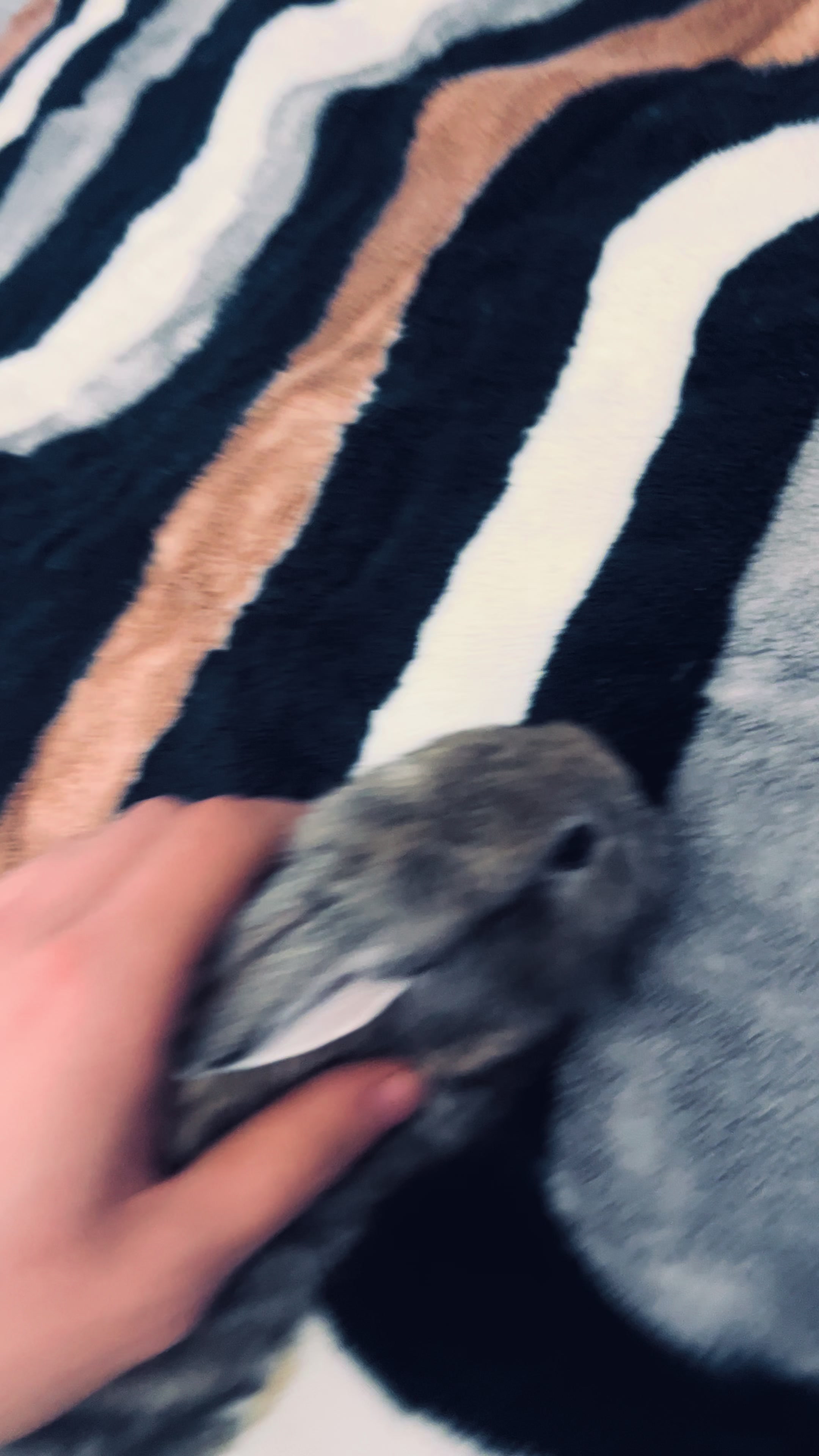 @๐๐๐๐๐ซ