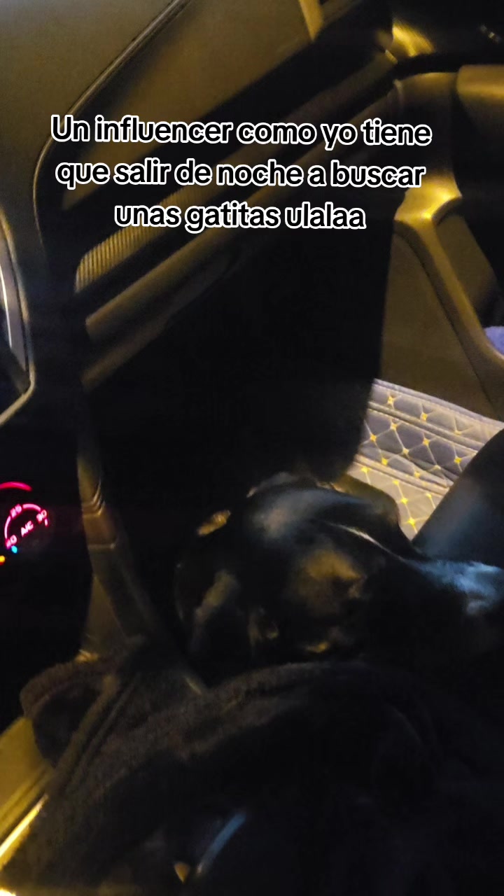 @Thor y Linda 🐾🐕❤️