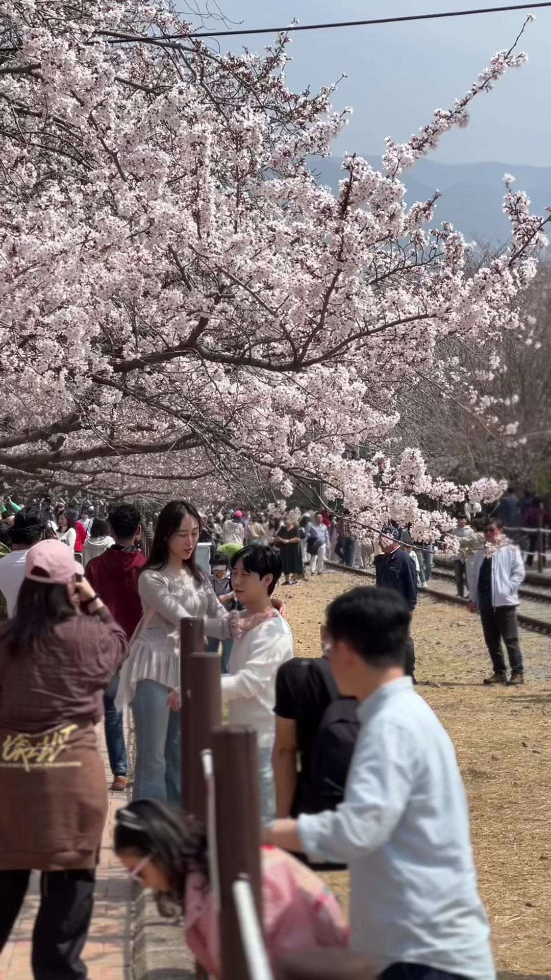 @agi namja🇮🇩🇰🇷