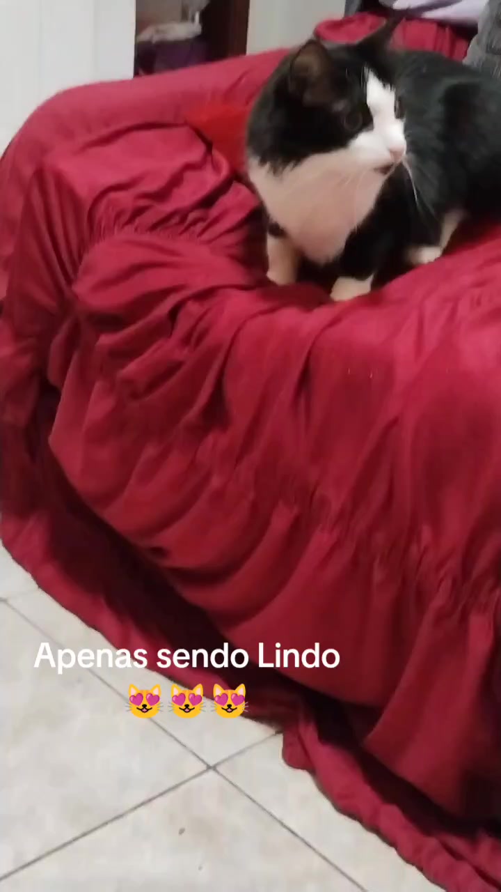 @Daiararn