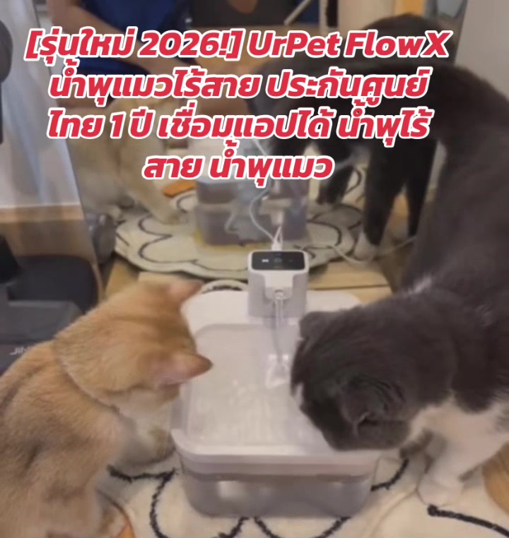 @luxsiriwan21
