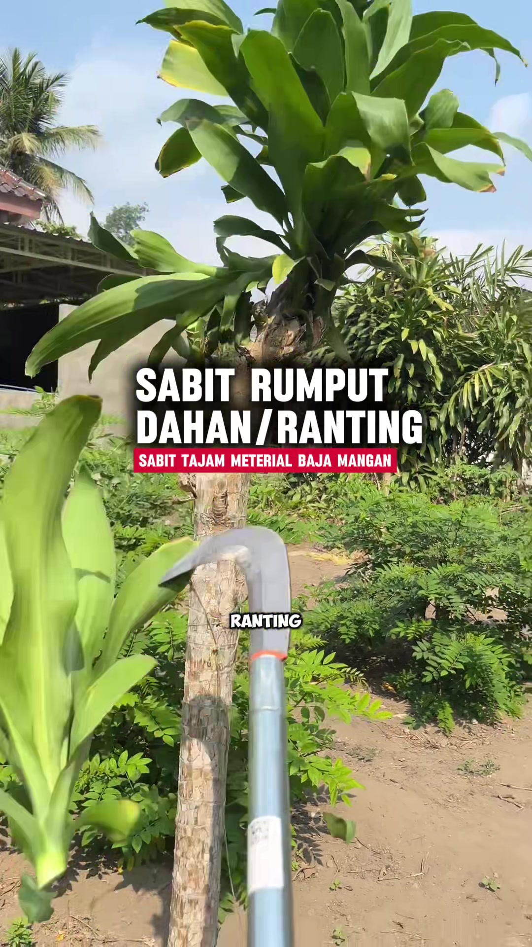 @anompriagung