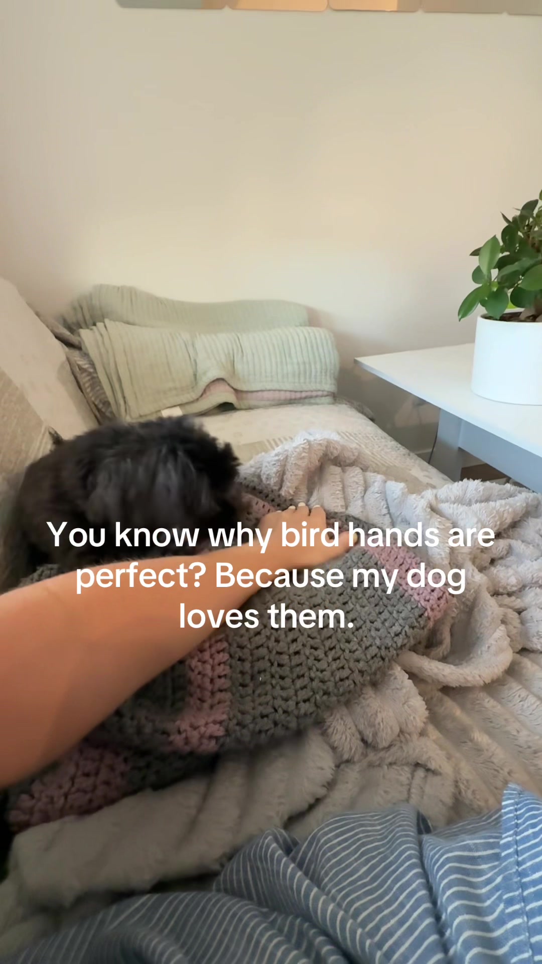 @Dr. Cheryl | Veterinarian🇨🇦
