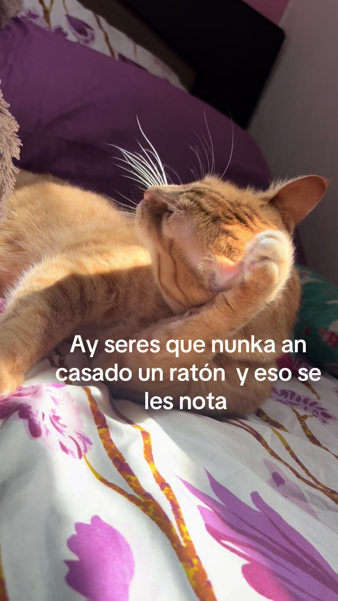 @Alejandra