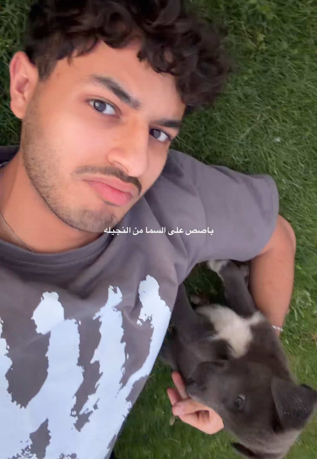 @مهند