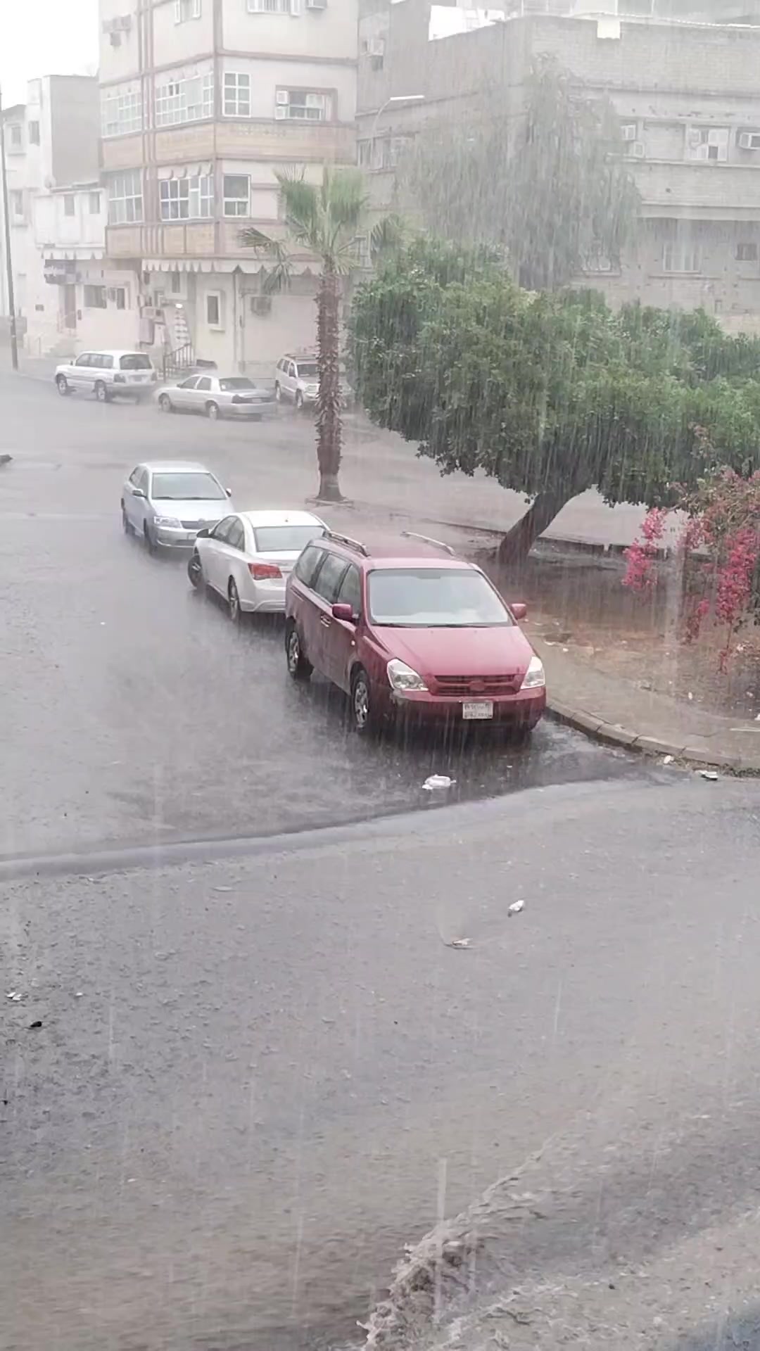 @مهاوي 🇸🇦💕💕