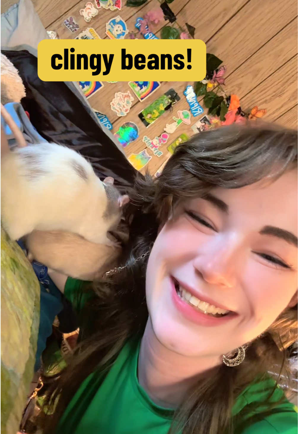 @lookatmyrodents