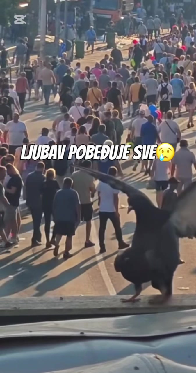 @Probuđeni Gustav