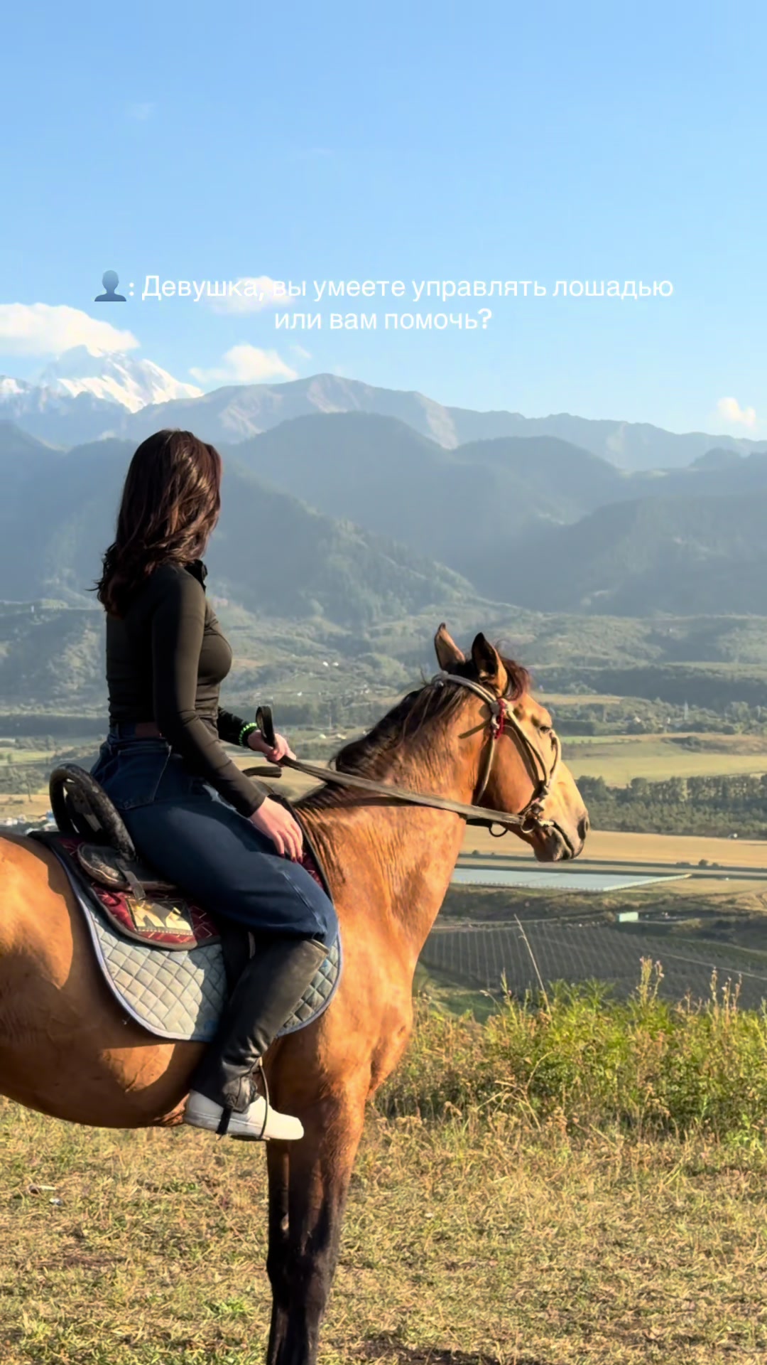 @akshatau_horses