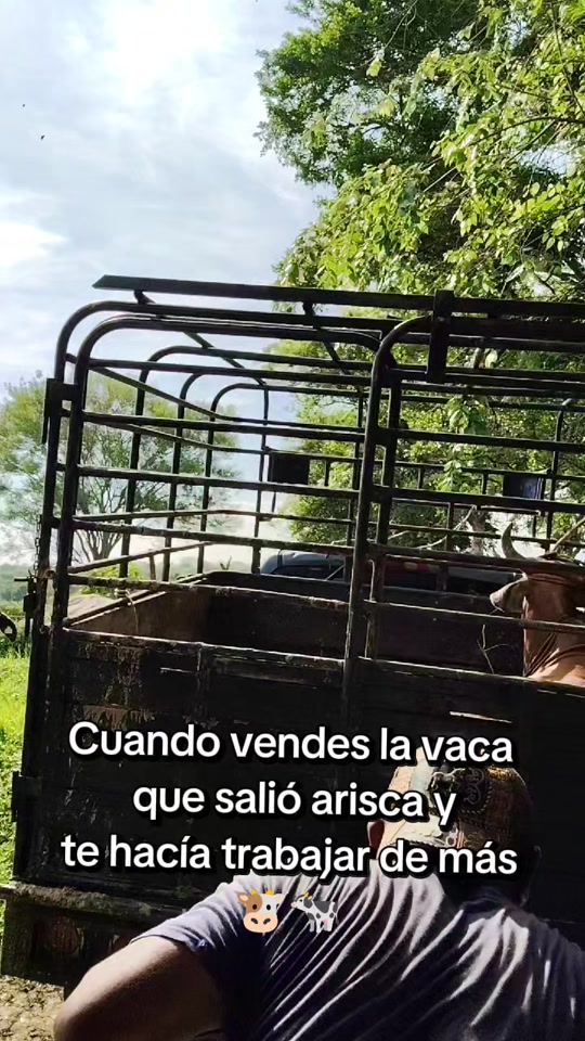 @Eli.Lopez.Leon