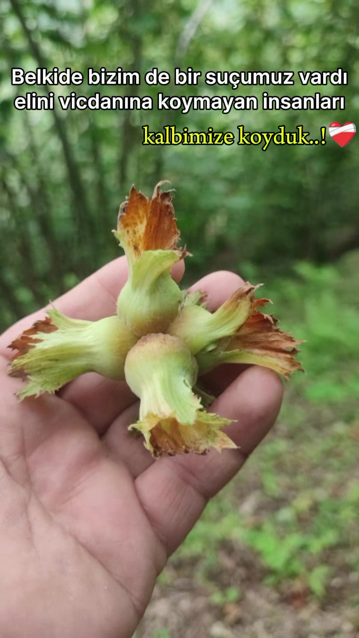 @🇹🇷🧿Başkan🧿🇹🇷
