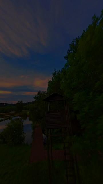 @𝗱𝗺𝗻𝗹𝘆𝗿𝗶𝗰𝘀