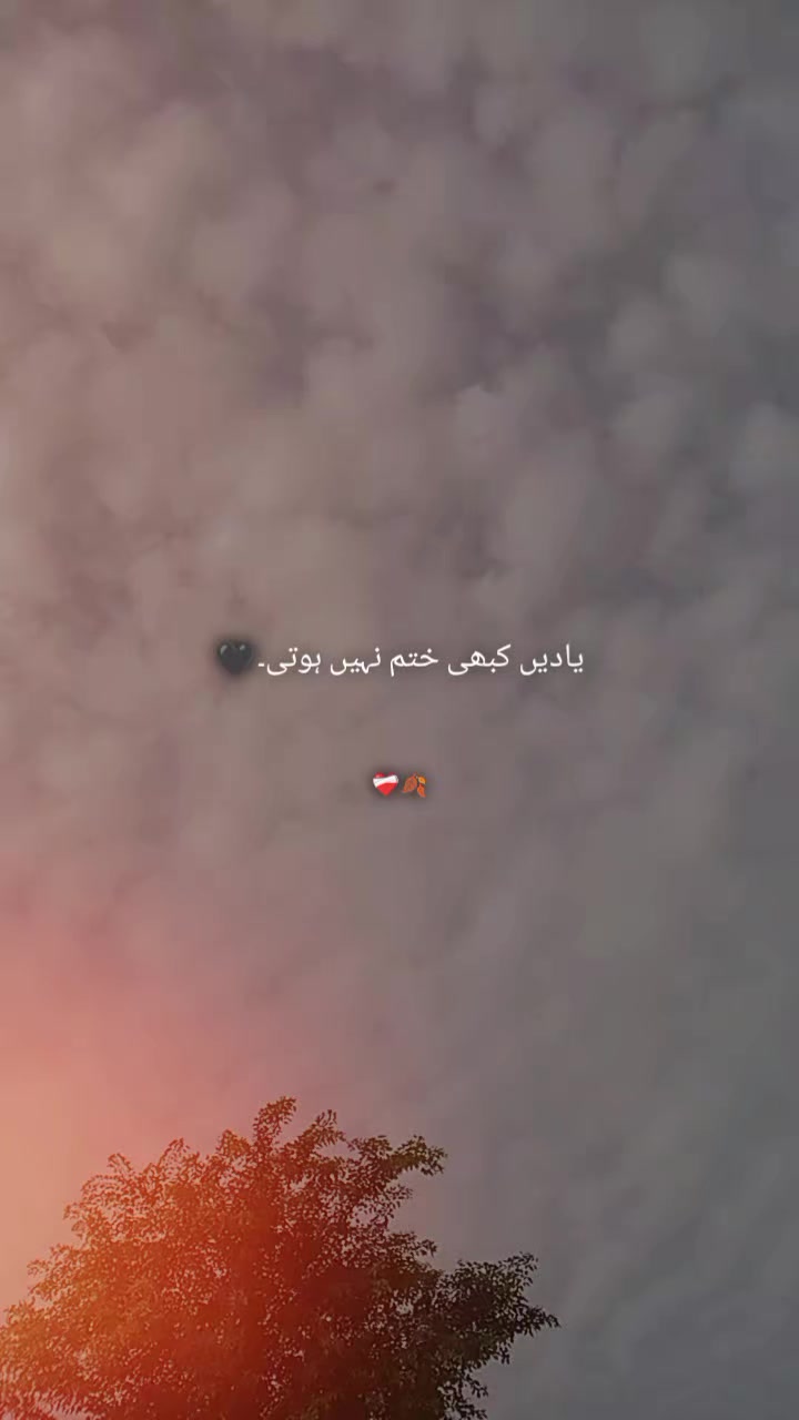 @𝙞𝙣𝙩ظ𝙖𝙧🦋👀