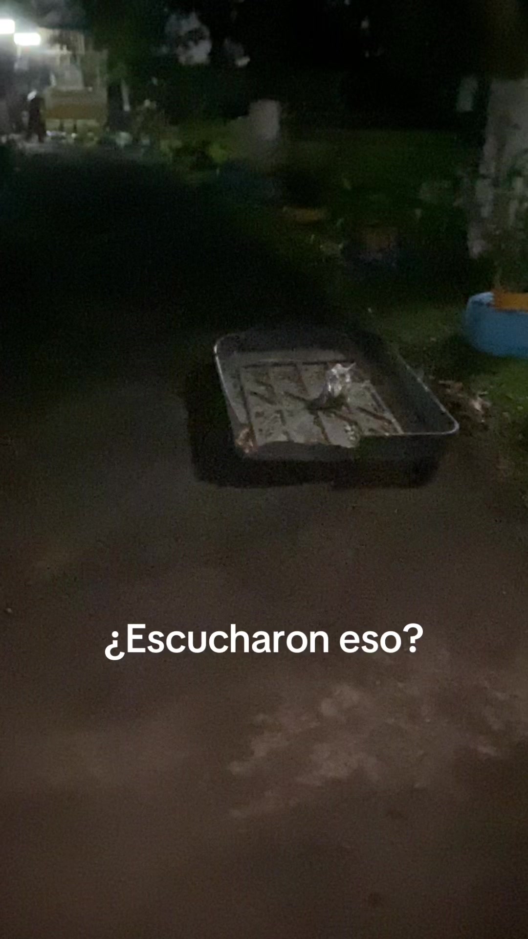 @Bryan Alberto IG