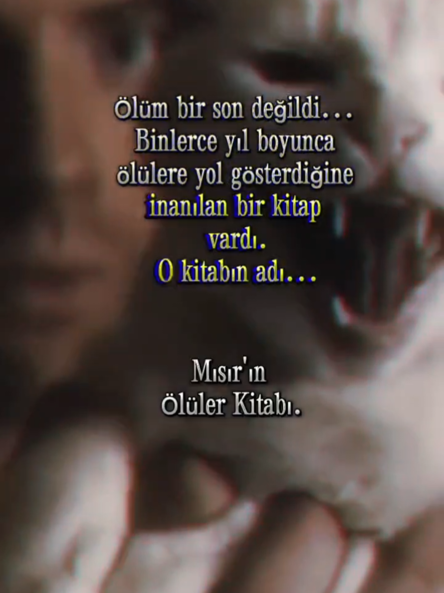@MerveLavi