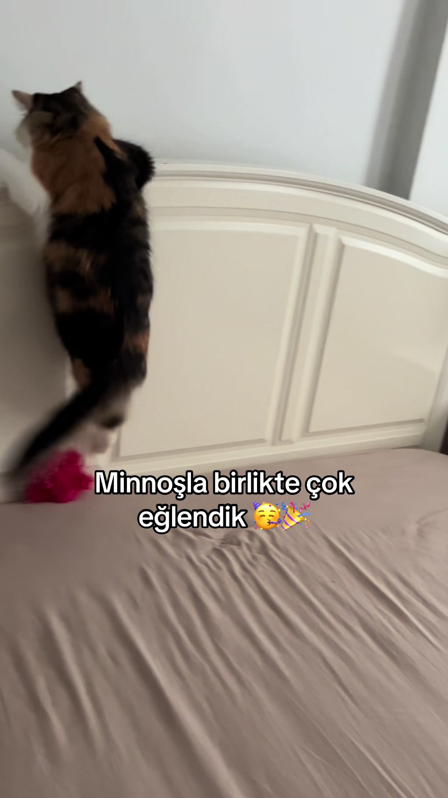 @konusankediminnos