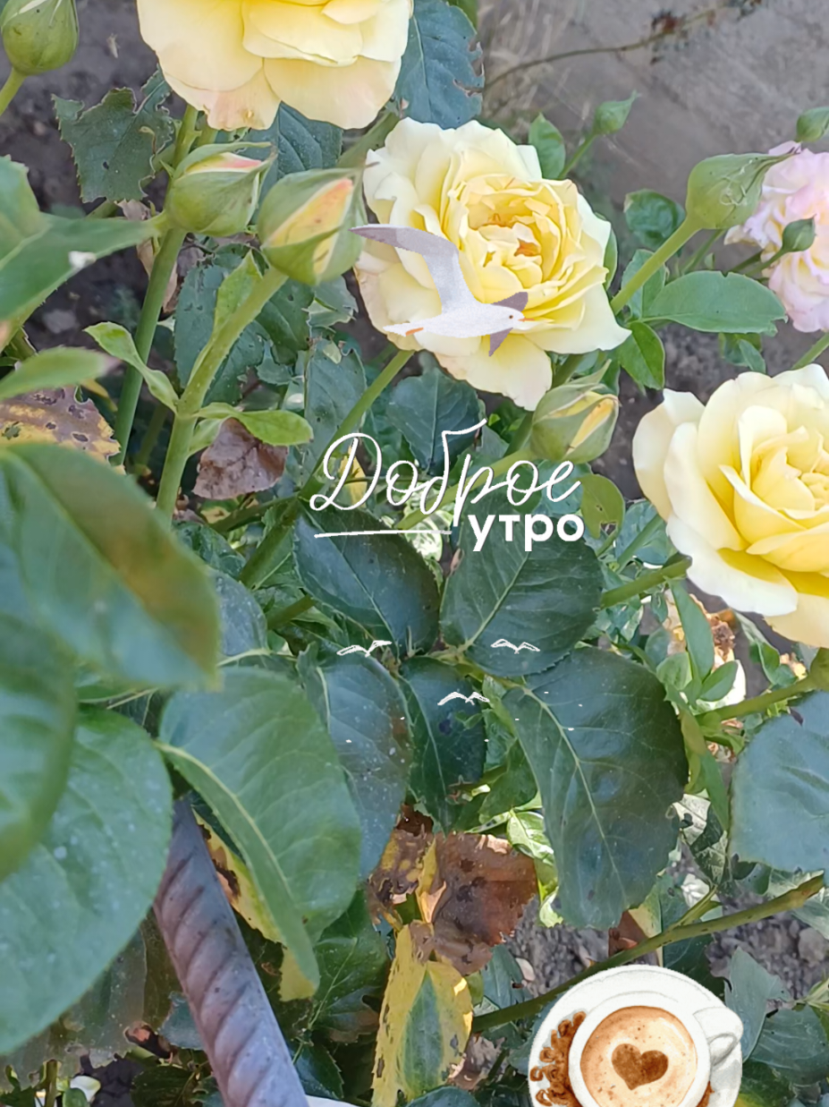 @Маришуля