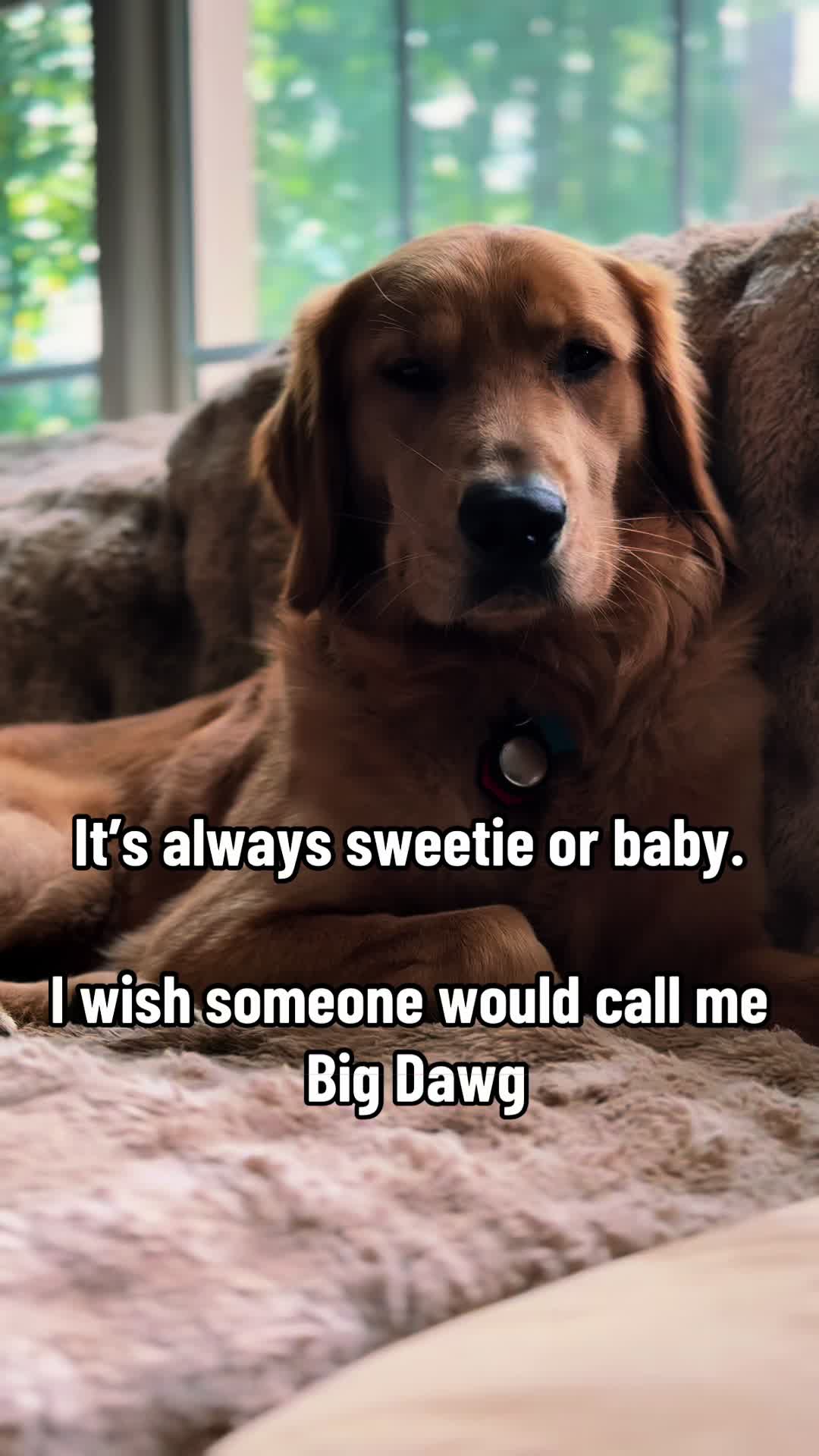 @Charlie the Golden