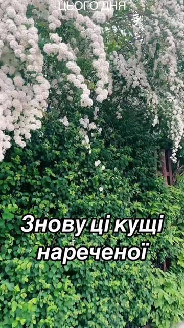 @👑Надюшка ♈️🔥