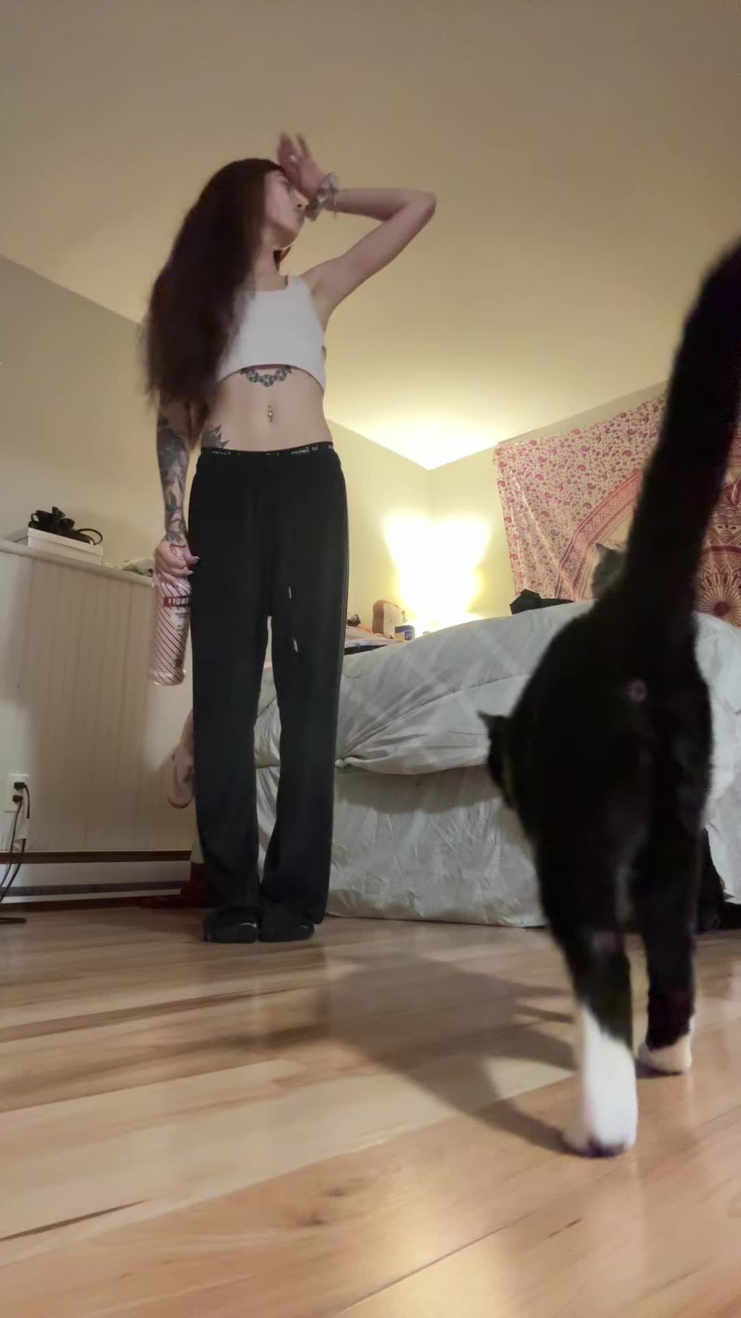 @✨