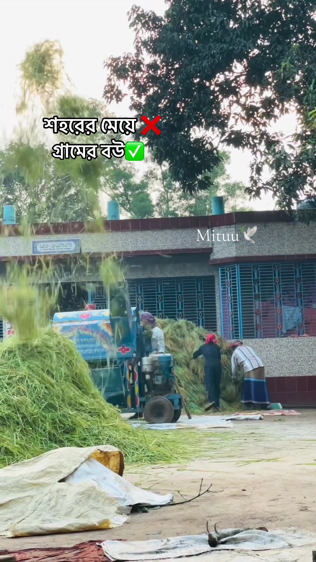 @Mituuđī¸đ