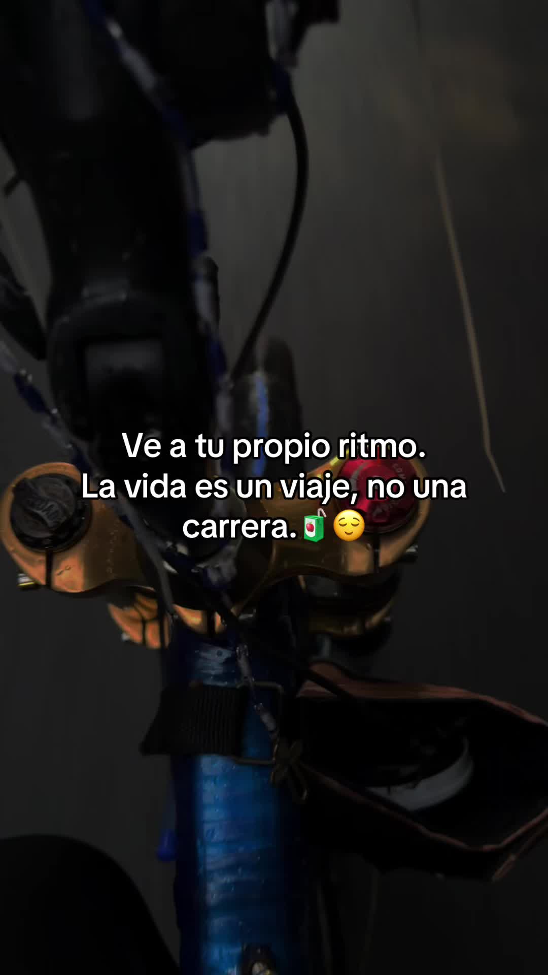 @edgar_GT🗽