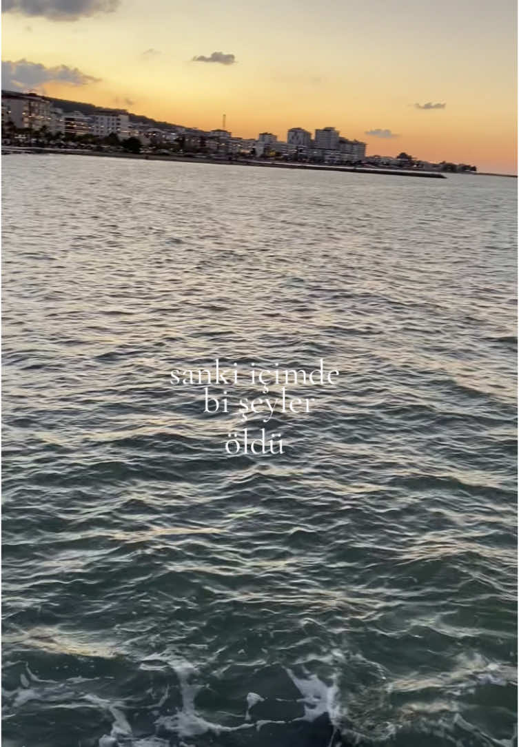 @merve 𓇼
