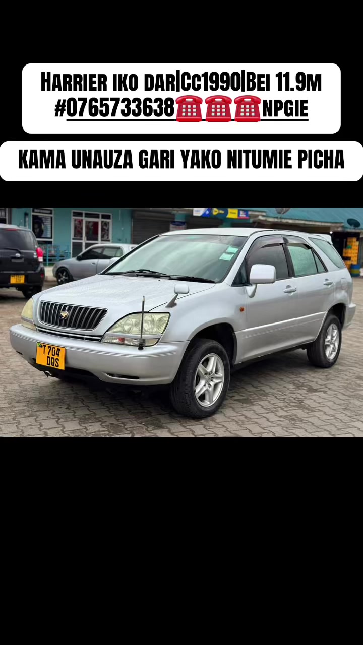 @Ndelwa Magari