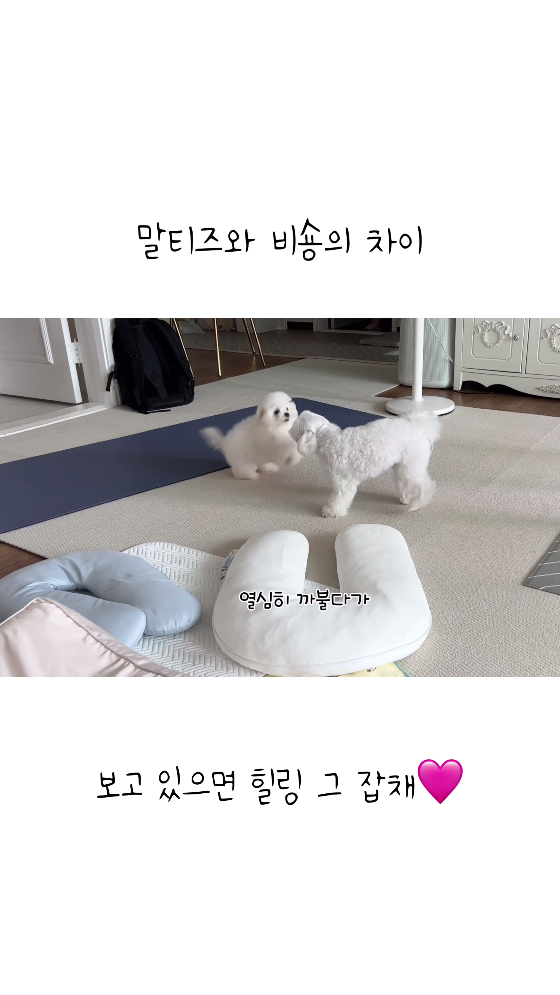 @메리하리