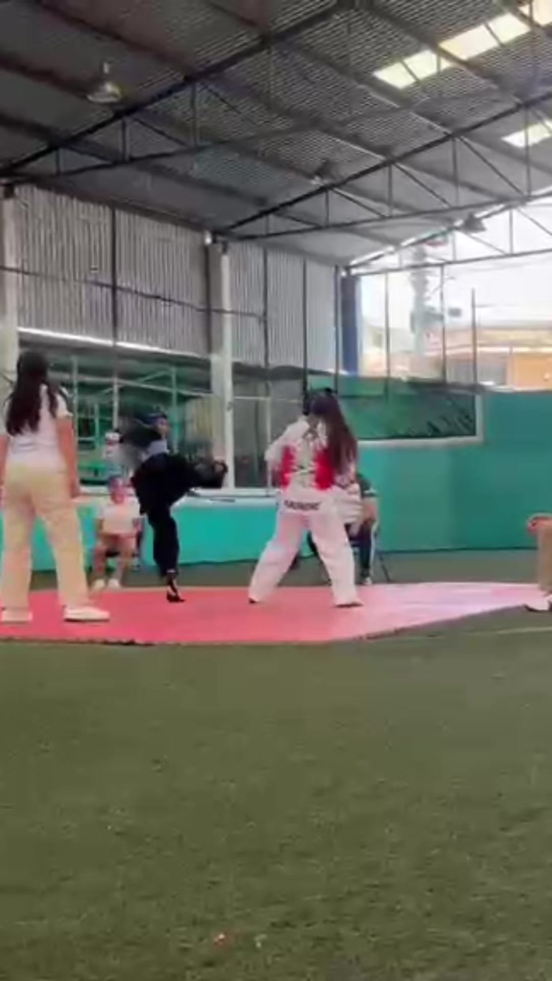 @taekwondolionsteam
