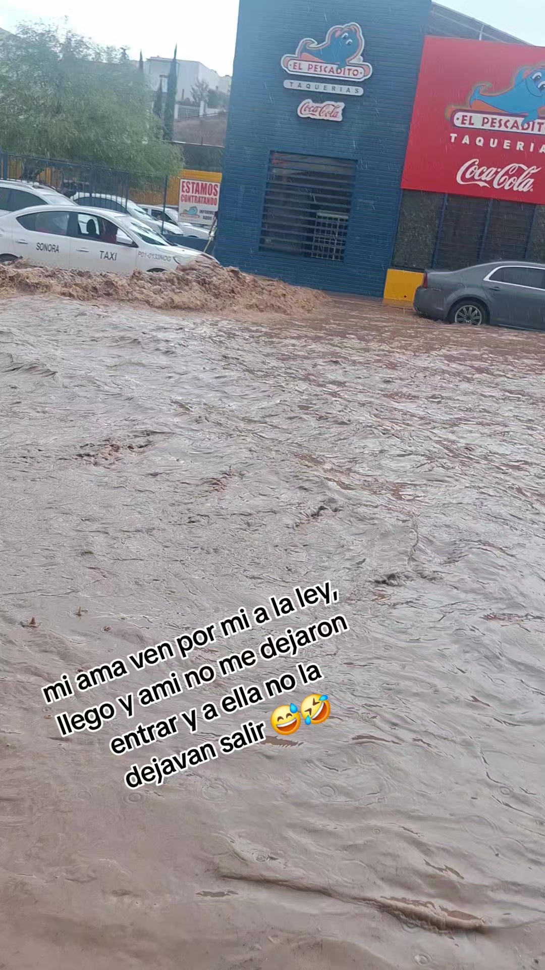 @Medina