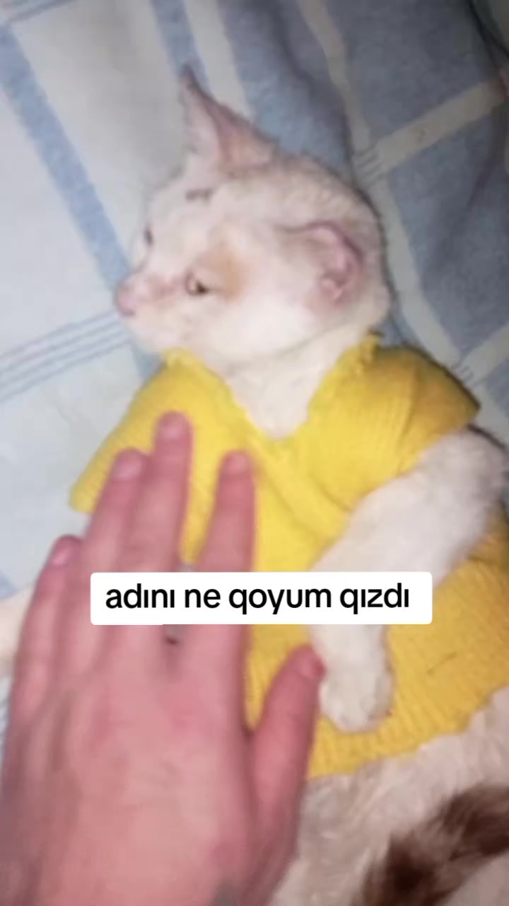 @yalniz_motorcu_25
