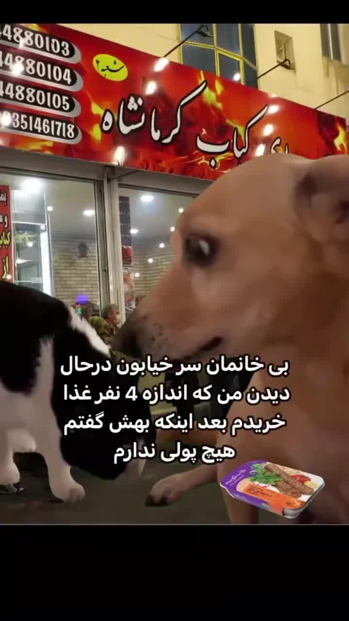 @𝕿𝕬𝕹𝕴𝕹