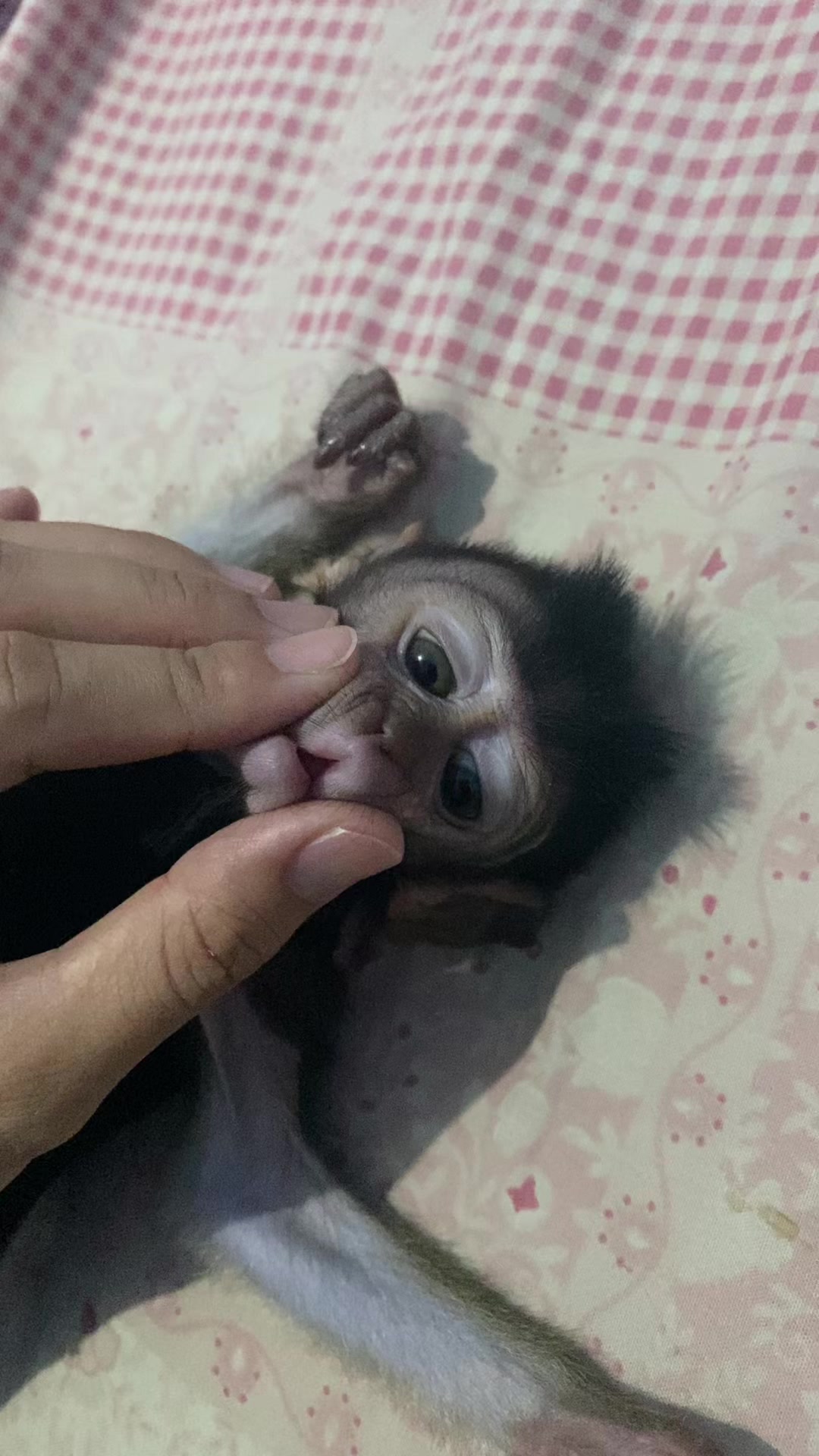@MRS.Adit ๐๐๐๐ง๐ญ๐