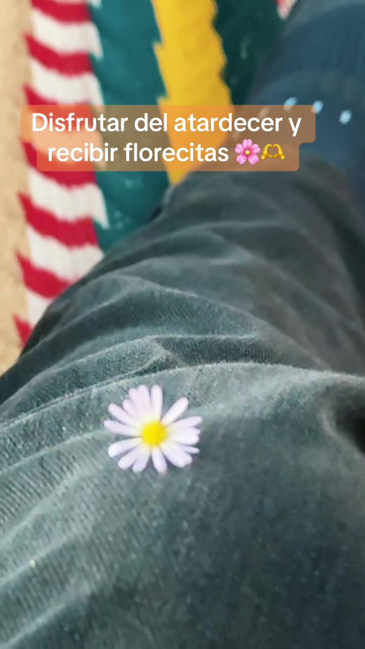 @Leticia Lazo